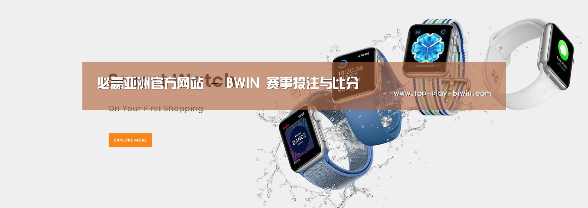 某某网络科技有限公司