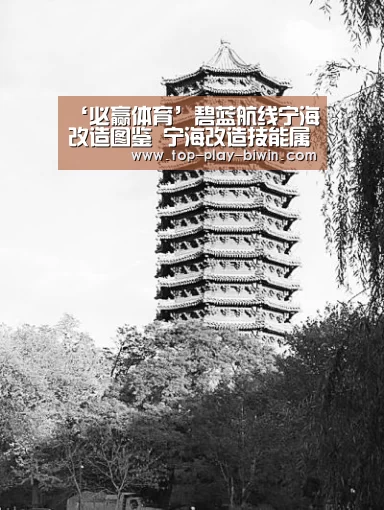 必赢体育
